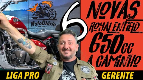 ✅ 6, é isso mesmo SÃO SEIS novas ROYAL ENFIELD 650 cc A CAMINHO, liga pro SEU GERENTE ✅