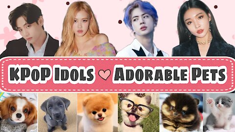 KPOP IDOLS who love animals