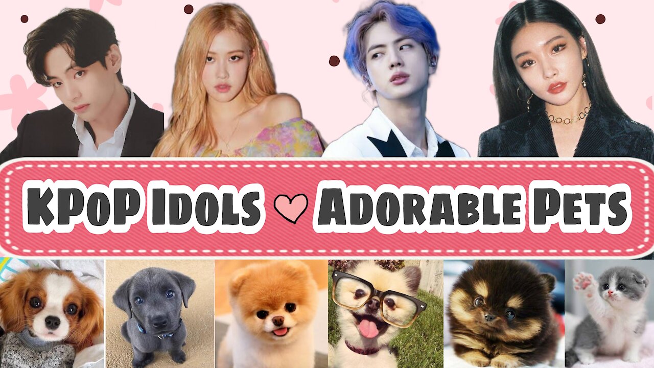 KPOP IDOLS who love animals