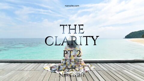 Achieving Clarity From the Narcissist : Part 2