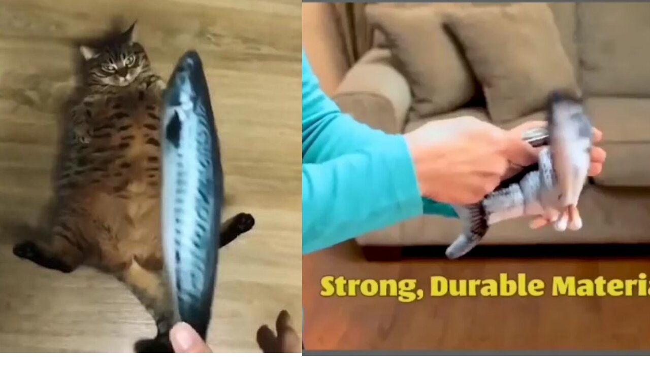 Electronic fish for your cats and dogs