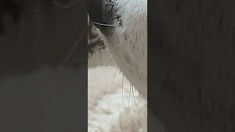 Zooming-in on random stuff 7