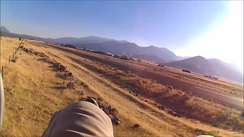 High wind gusts cause dangerous paramotor crash