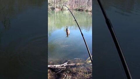 Fishing with Tiny Lures