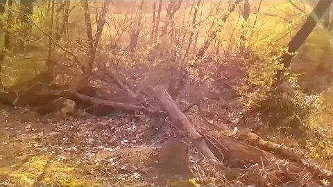 Sundayscape : Clips Licking Valley Church Pt 2