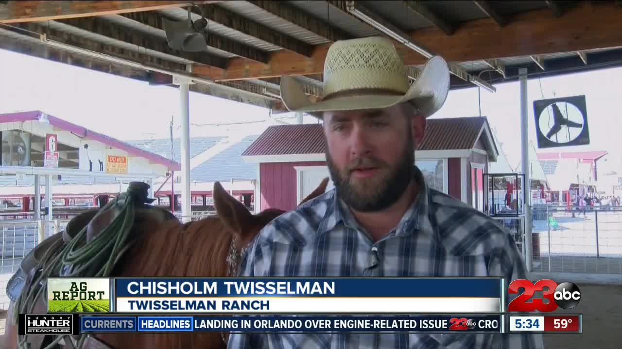 Family Attends Farm Day in City for Over 20 Years