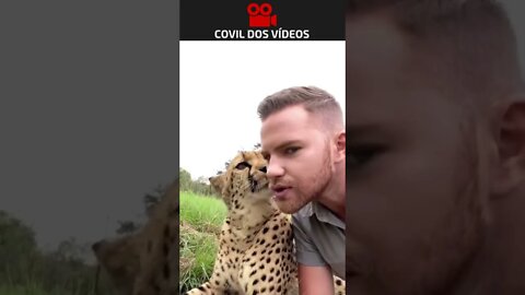 muito amor envolvido