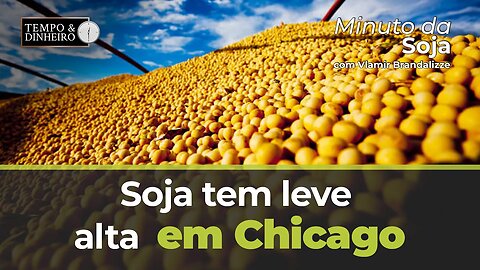 Soja tem leve alta em Chicago. Ouça a análise do Brandalize