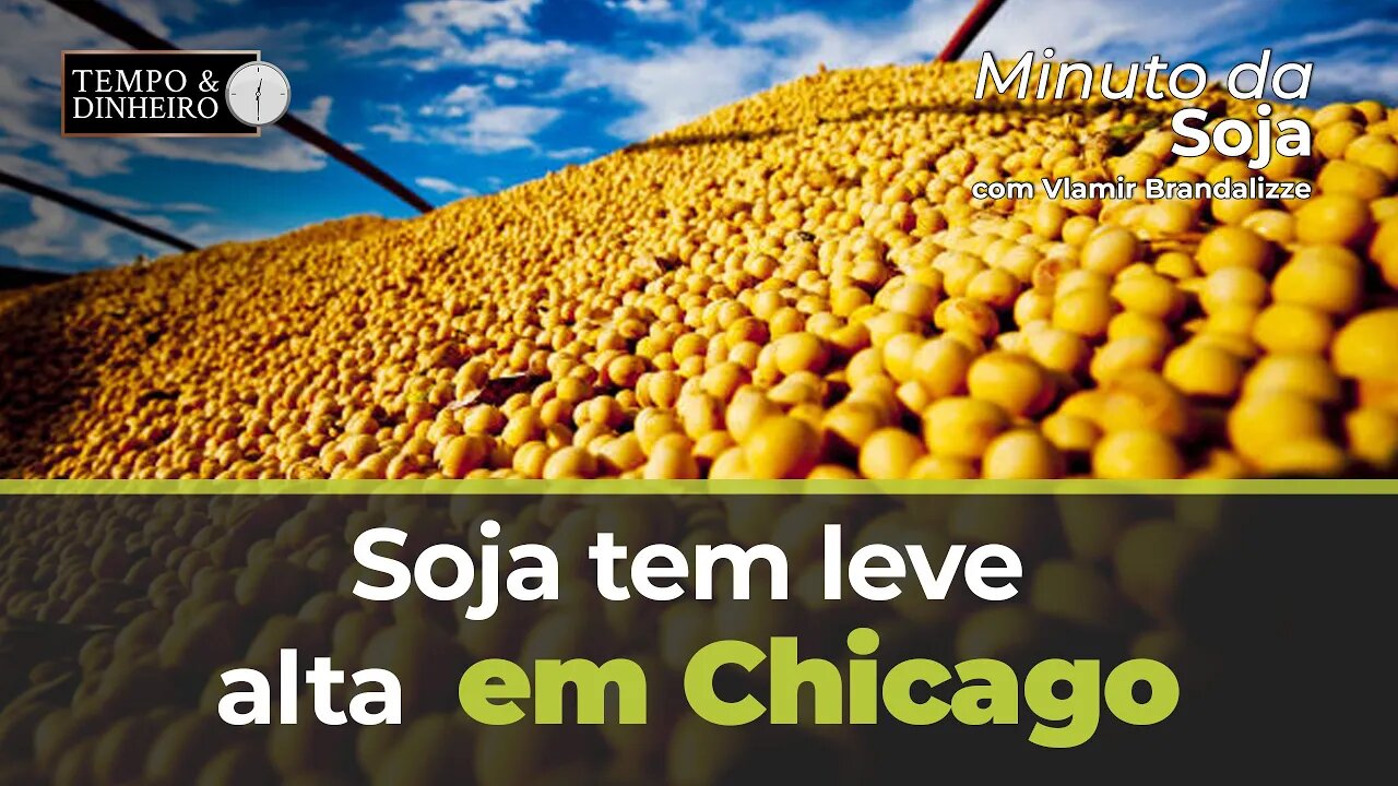 Soja tem leve alta em Chicago. Ouça a análise do Brandalize