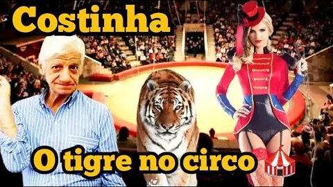 Costinha: o tigre no circo🐅