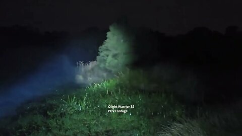 Olight Warrior 3S: 20m beamshot test in nature