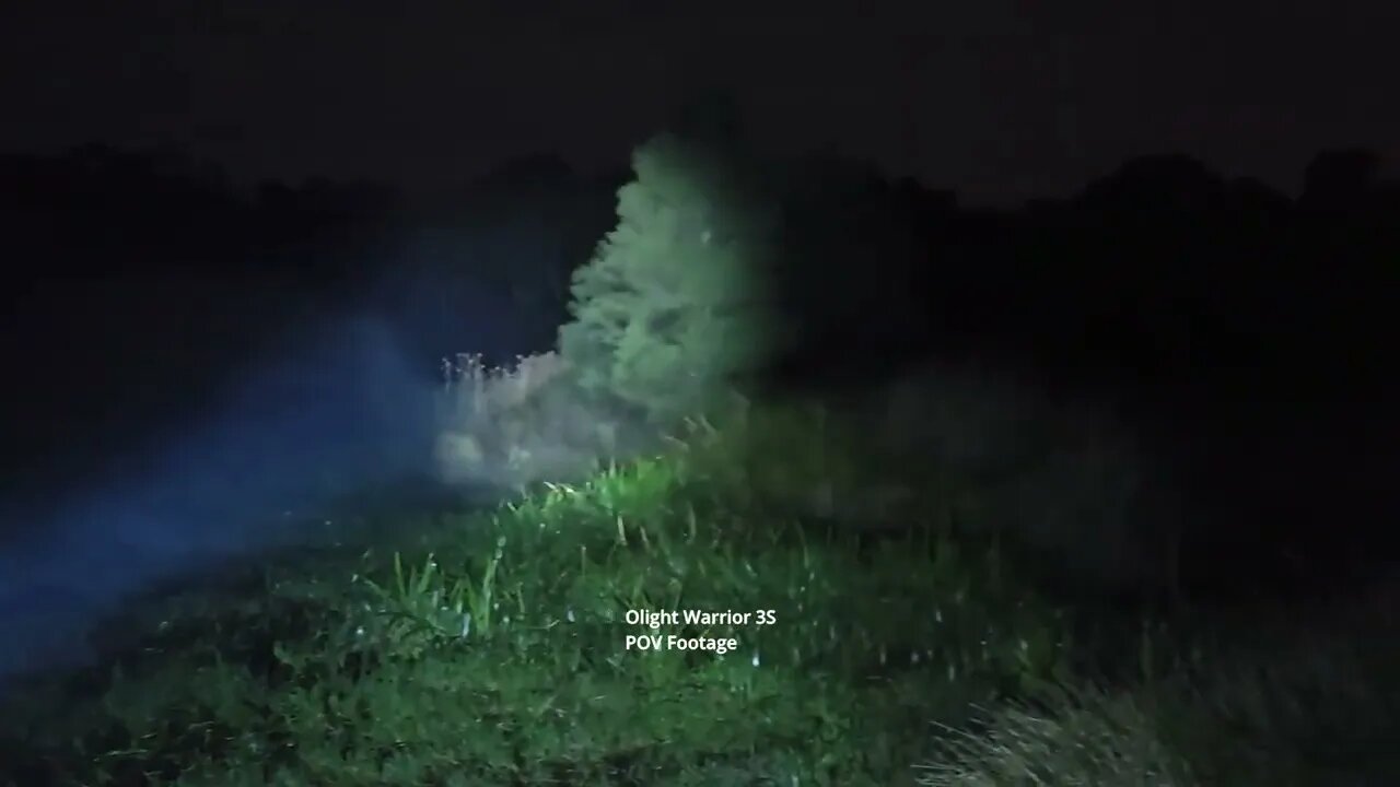 Olight Warrior 3S: 20m beamshot test in nature