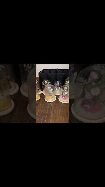 Joann’s Dumpster Dive Preview