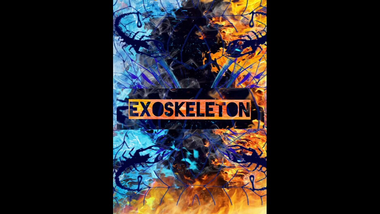 Exoskeleton