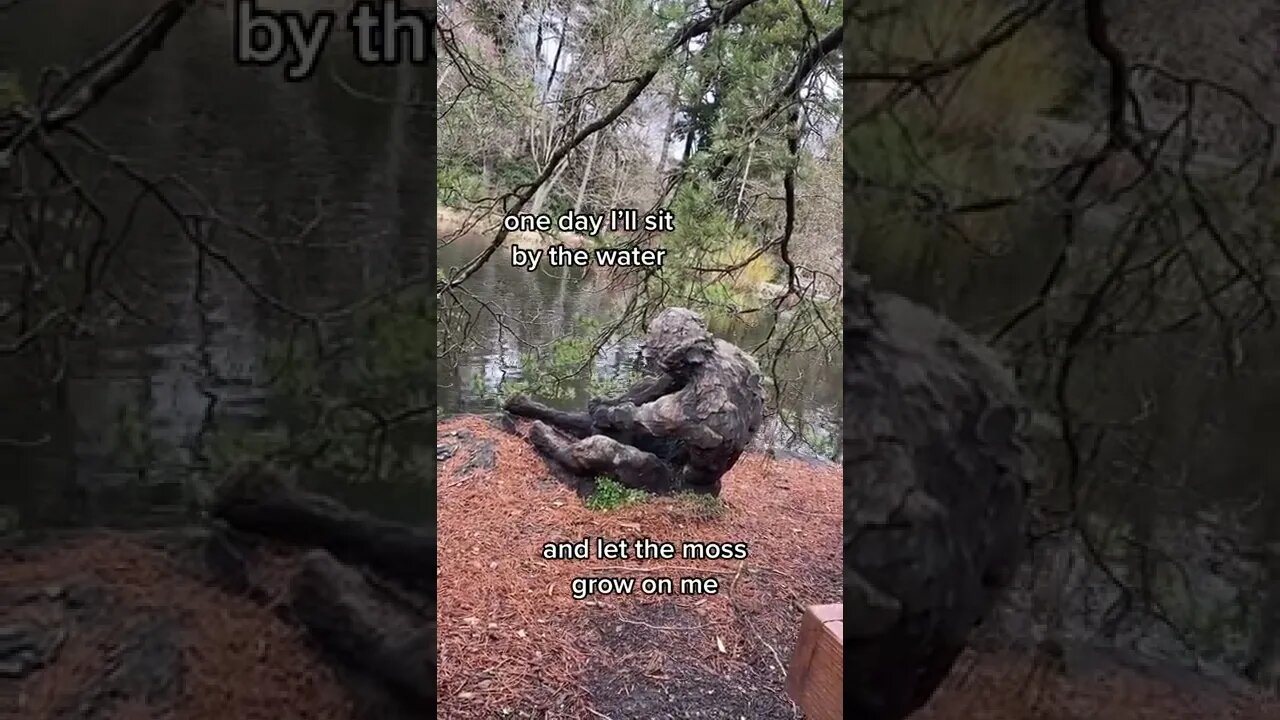 Let The Moss Grow On Me tiktok casscivi
