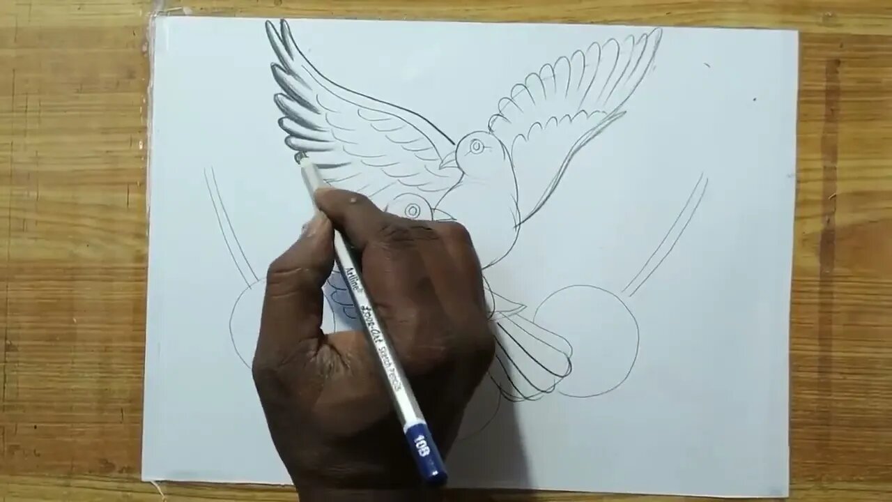 how to draw a pigeon and rose flowers with pencil sketch