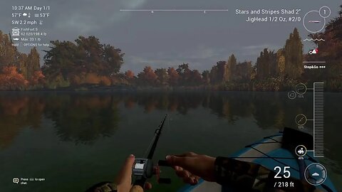 Fishing planet chill stream