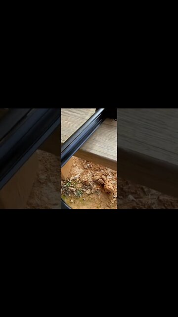 Stuff & Things 20 RND mag extention for Keltec CMR30 PMR30. #gun #metal #STINCUSA #KELTEC #STINCUSA