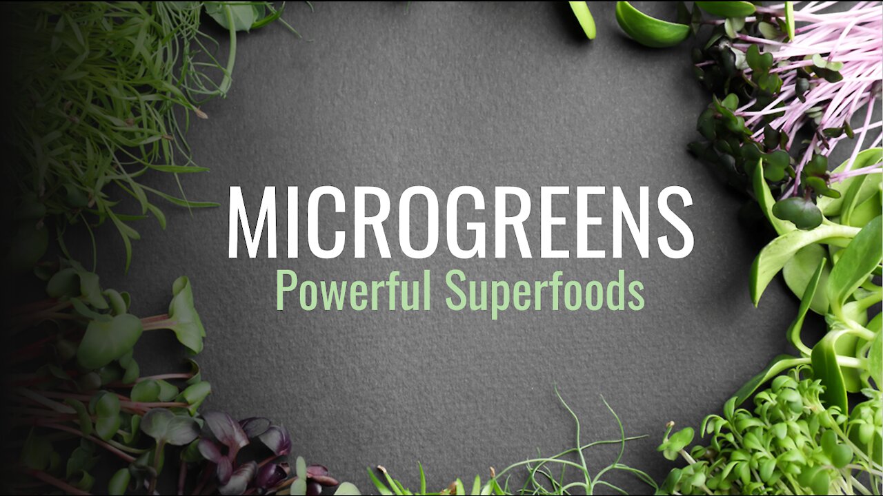 Microgreens Powerful Superfood