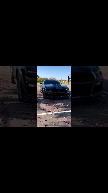 My vibe time #ford #mustangsociety #fordperformance #fordracing #shelby #shorts