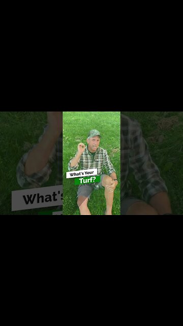 Are you a Purebred or a Mixed Breed?