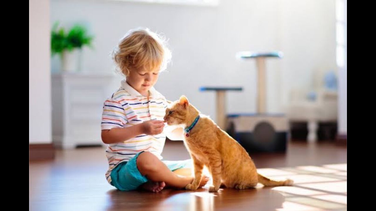 Kid training his cute black cat.