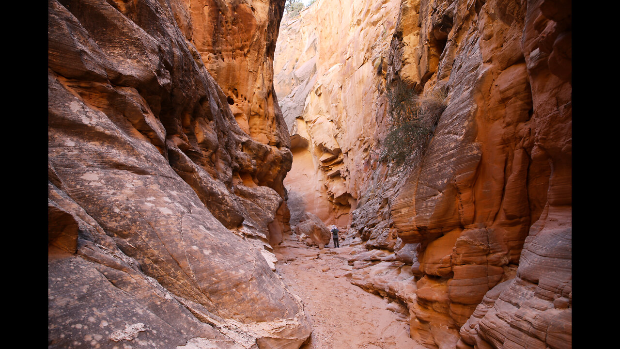 Cottonwood Narrows, Grand Staircase Escalante, Kanab UT