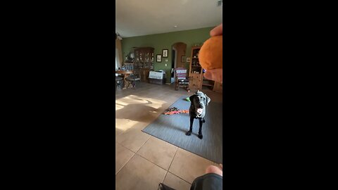 Slow mo catch