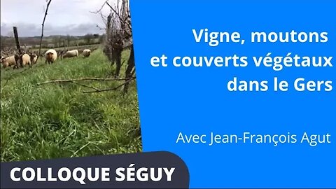 Vigne, moutons et couverts végétaux dans le Gers, Jean-François Agut