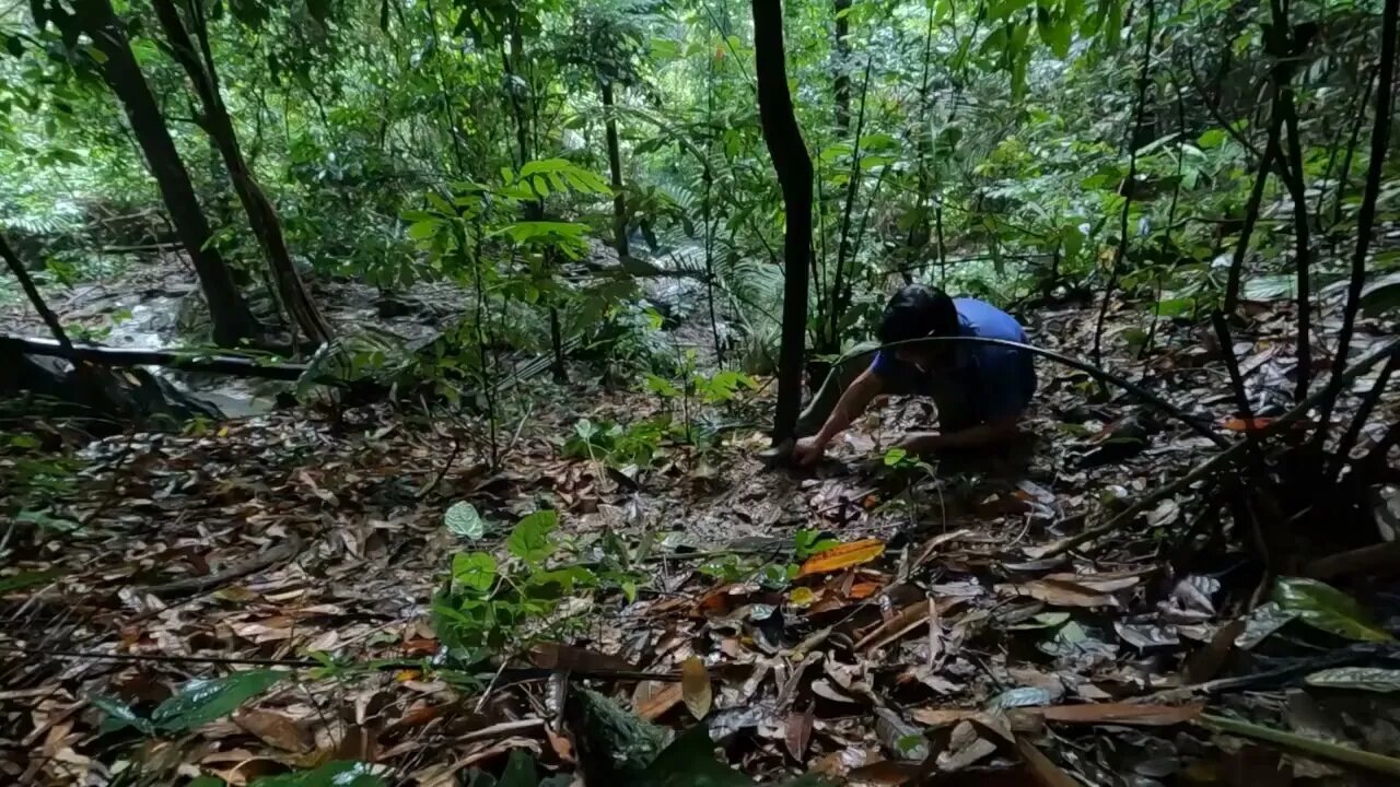 Building a bamboo shelter on a rock face:9