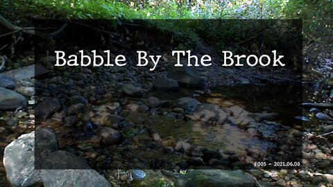 Babble By The Brook - #005 - Update on current events