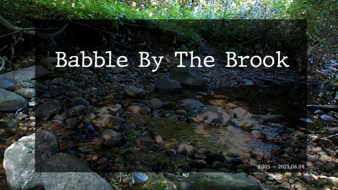 Babble By The Brook - #005 - Update on current events