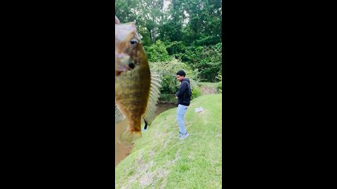 Fishing at pond