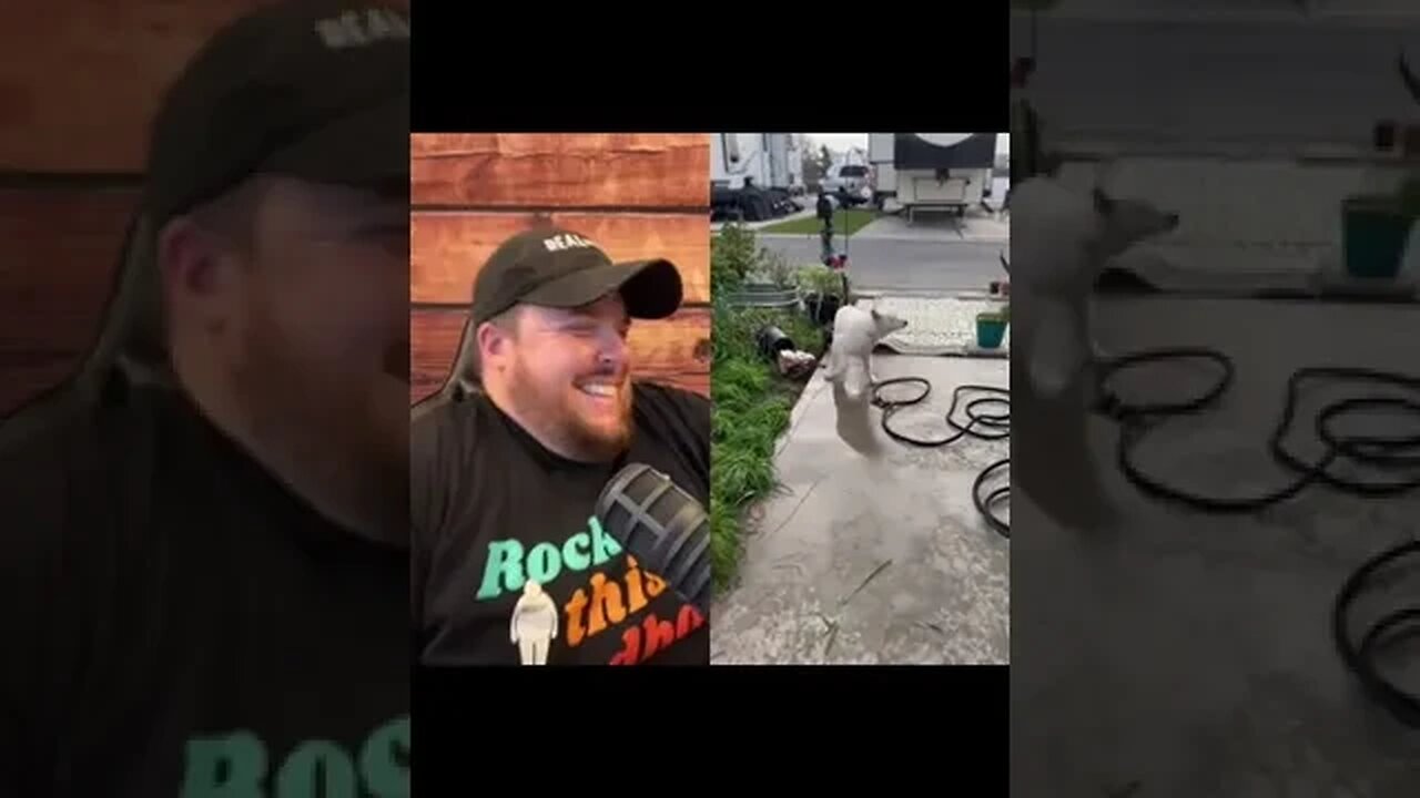 Here’s Your Dose of REALarious…🤣🤣🤣