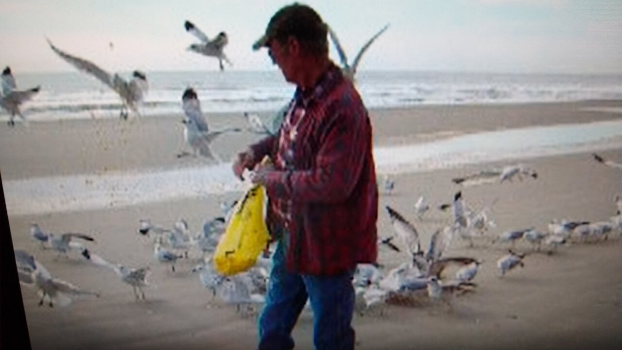 2012 DAD FEEDING THE SEAGULLS MYRTLE BEACH