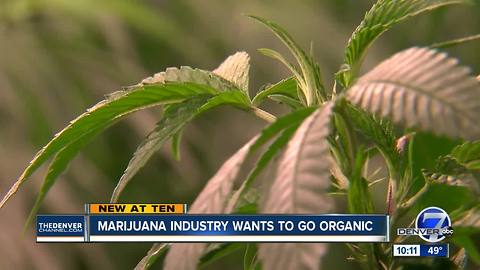 Some Colorado marijuana growers want specific organic cannabis designation
