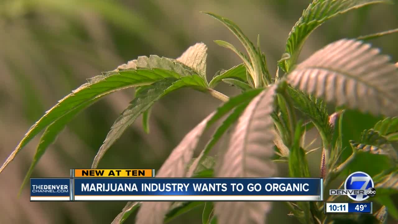 Some Colorado marijuana growers want specific organic cannabis designation