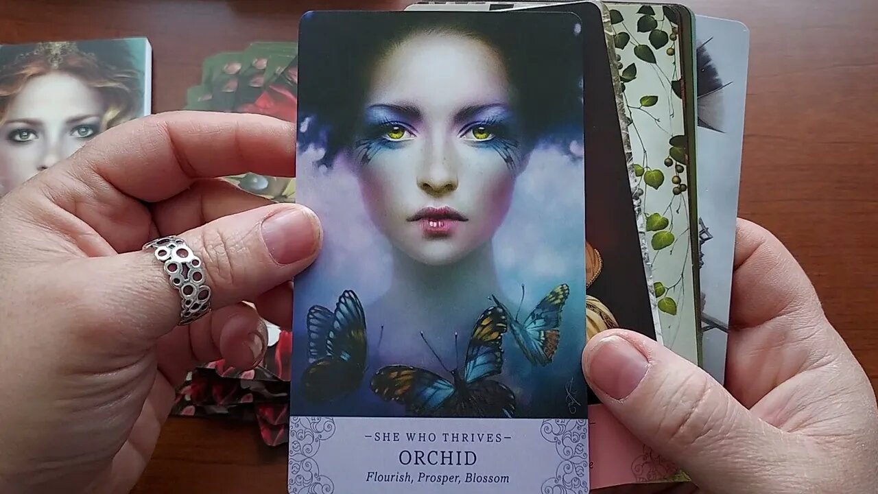 Unboxing Elle Qui Oracle Cards by Melanie Delon and Arwen Lynch-Poe