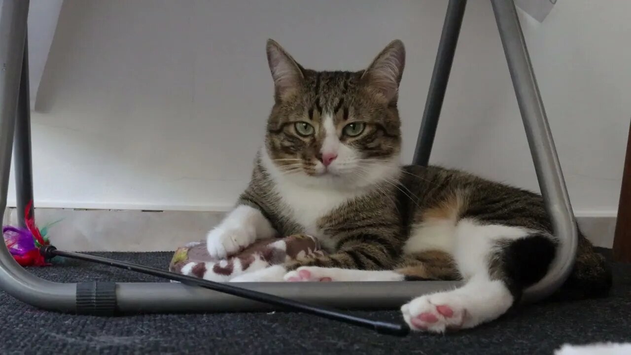 This Slipper Is Mine