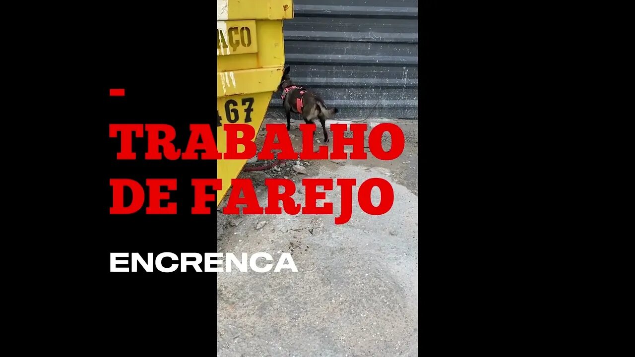 FAREJO ENCRENCA