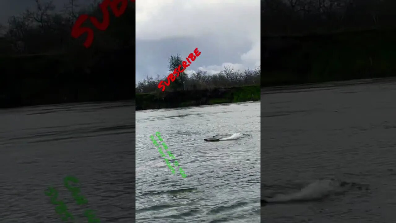 Rc Boat in the flooded river