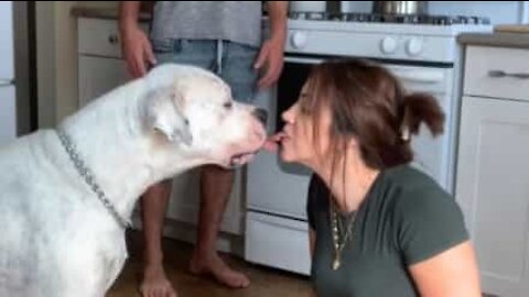 Rapaz fica chocado com beijo de 'língua' da parceira com cão