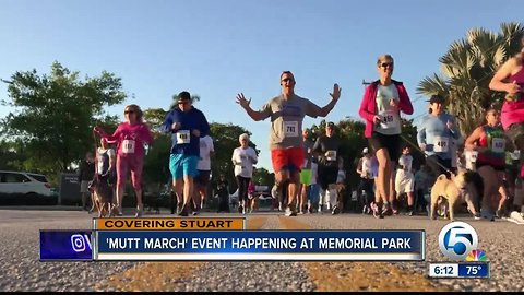 "Mutt March" held in Stuart