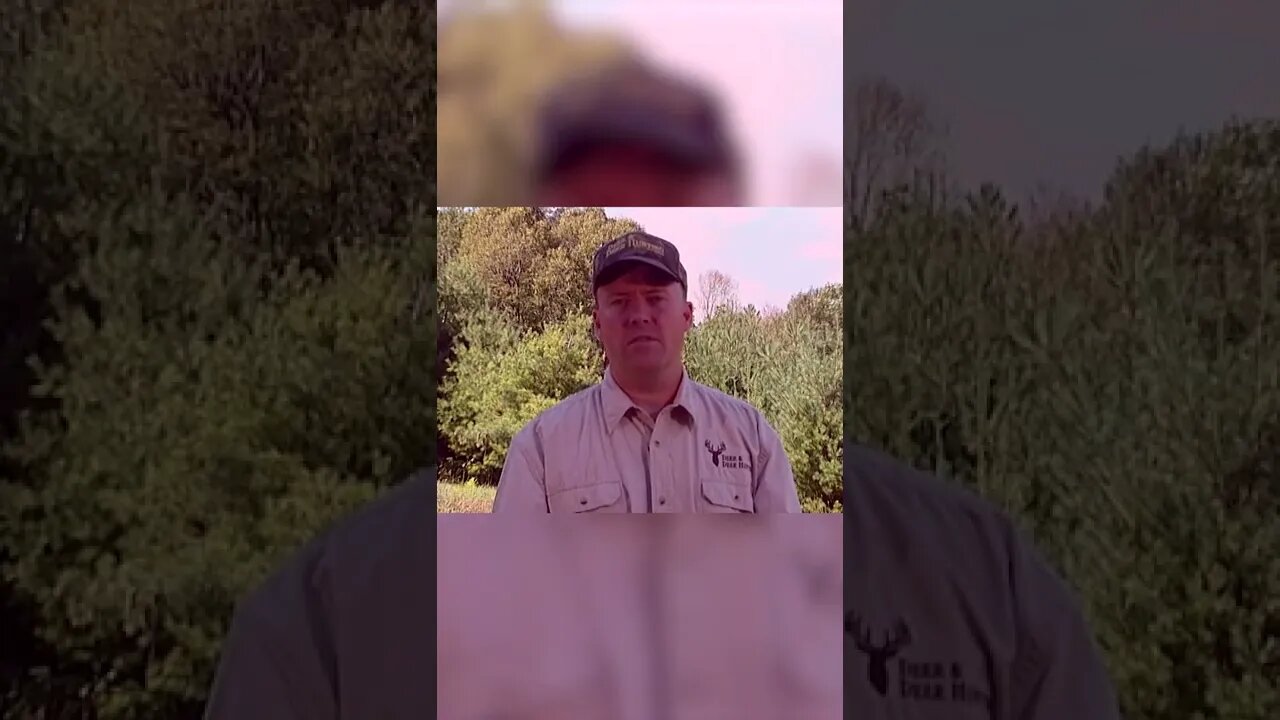 Throwback Thursday | Season 1 Episode 2 of DDH #shorts #deer #deerhunting