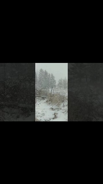 #slowmo #snow #ontario #spring2023 #ohhighbud
