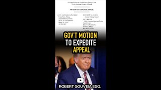 Gov't Motion to EXPEDITE Appeal #shorts