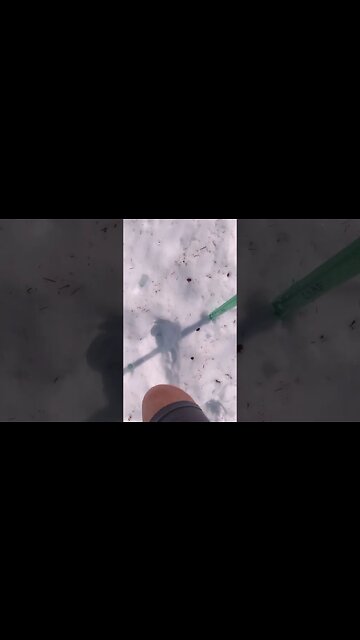 #VancouverIsland #Backcountry #Hiking