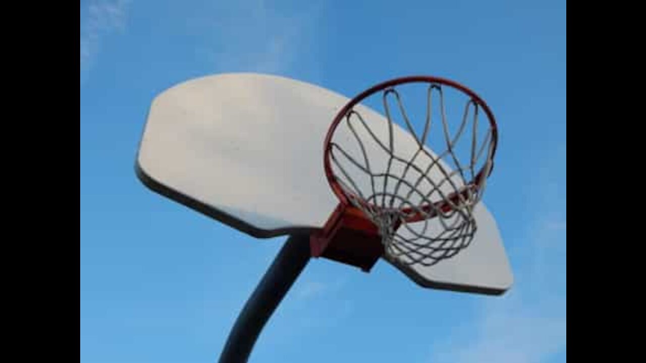 Ces deux frères jouent au basket avec un souffleur de feuille