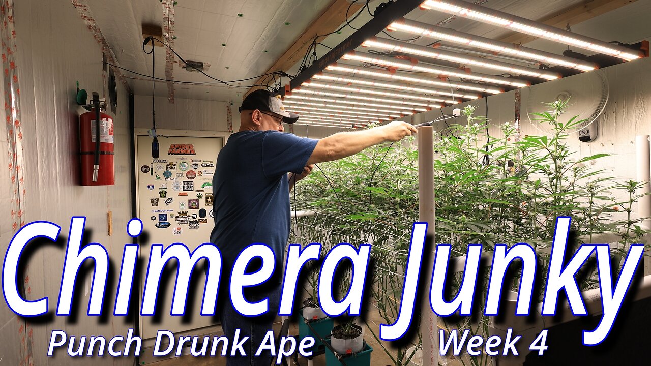 Chimera Junky Week 4: Spider Farmer SE7000 Full Garden Update