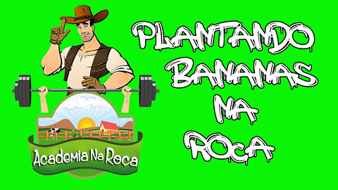 👨‍🌾 Academia na Roça - Episódio: 10 - Plantando Bananas na Roça Descubra o Segredo ( Você já Viu ? )